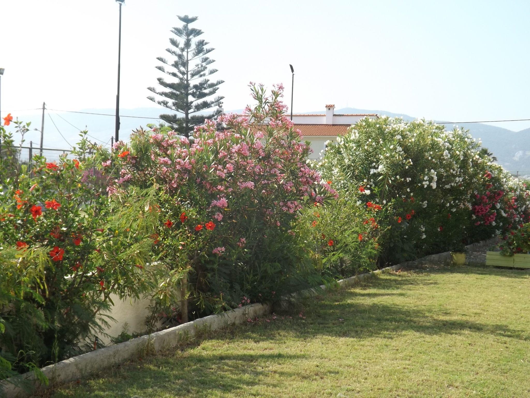 Leonidas Hotel & Studios Kos Exterior foto